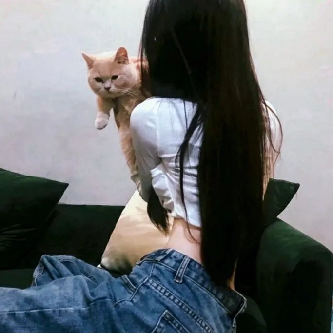 科西嘉兄弟